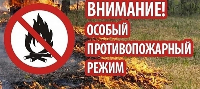 В Республике Коми введен особый противопожарный режим в лесах